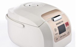 奔腾电饭煲使用方法视频(奔腾电饭煲的使用说明)