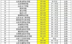济南职业学院分数线 济南职业技术学院录取线