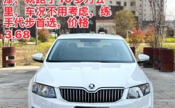 【新款斯柯达明锐多少钱,斯柯达明锐2020款多少钱落地】