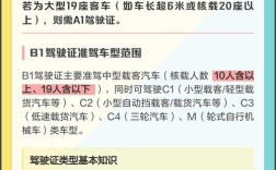 b1驾照(b1驾照可以开几座客车)