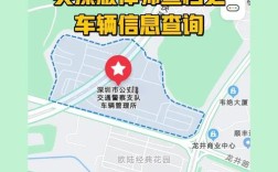 深圳汽车违章查询官方网(深圳汽车交通违章查询)