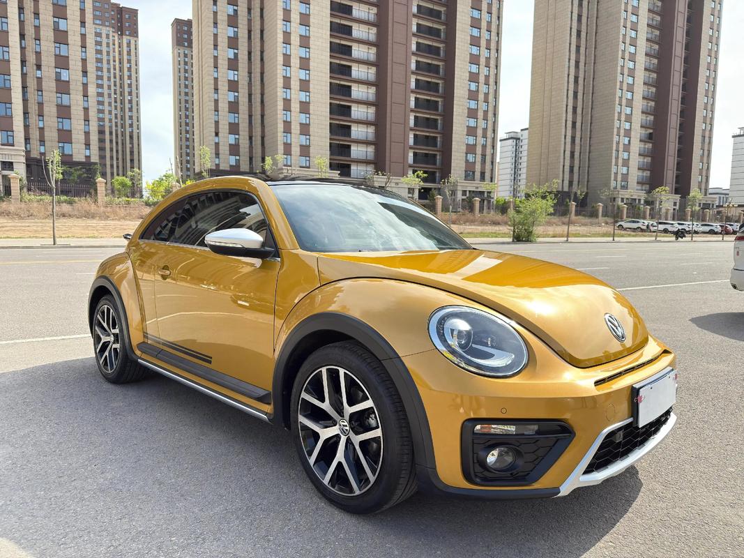 甲壳虫大众汽车报价/大众甲壳虫报价多少