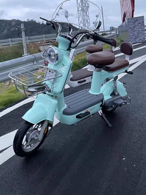 【女士最小款电动车,女士最小款电动车安全吗】