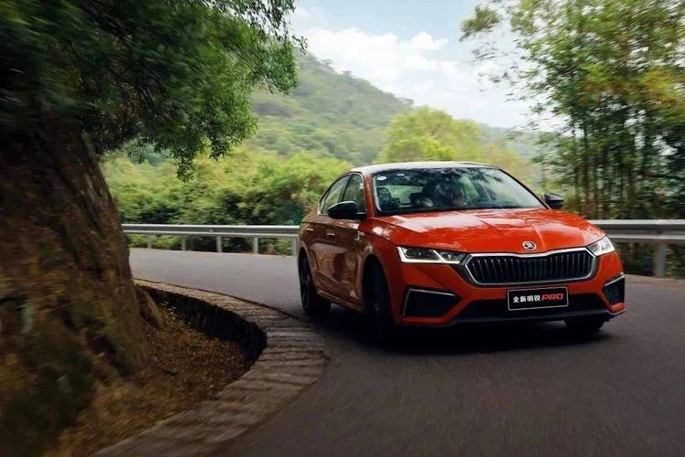 斯柯达明锐pro论坛(斯柯达明锐2021pro)