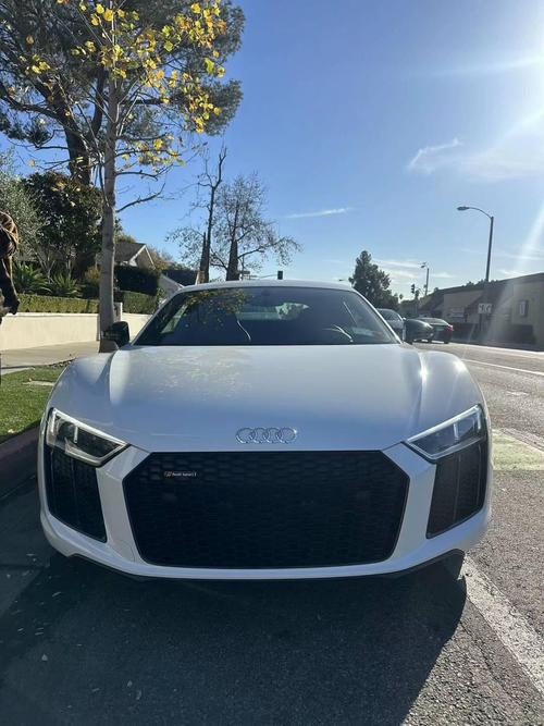 奥迪r8提车图片,奥迪r8提车图片高清