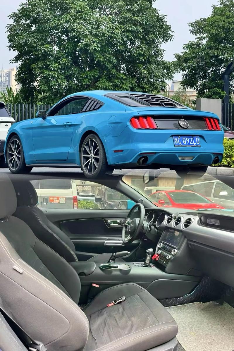 【最便宜二手野马多少钱一辆,最便宜的二手野马】