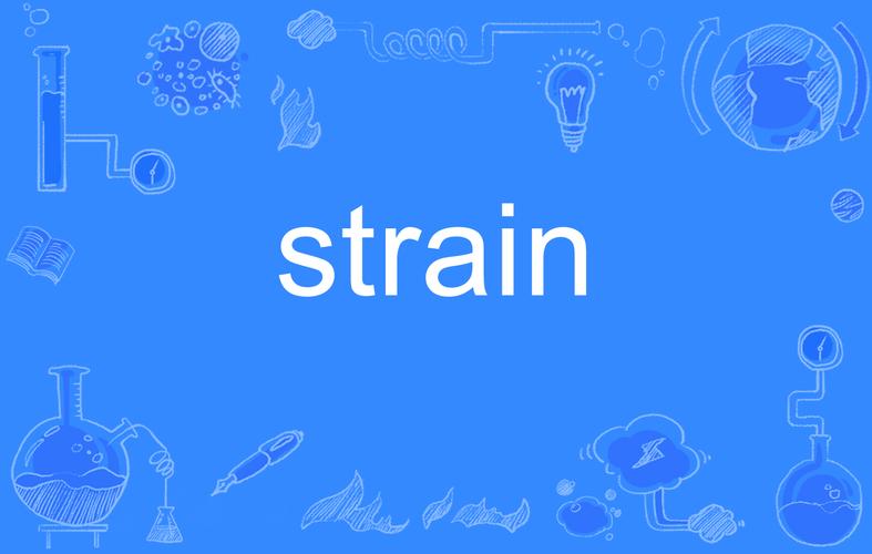 strain(strain的名词)