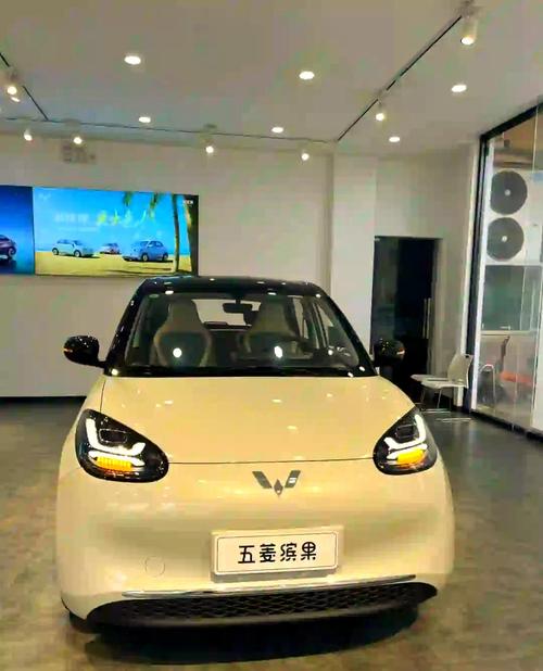 【柳州五菱纯电动汽车,柳州五菱纯电动汽车销售】